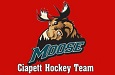 Ciapett Hockey Team