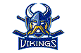 Vikings Hockey Team