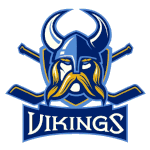 Vikings Hockey Team